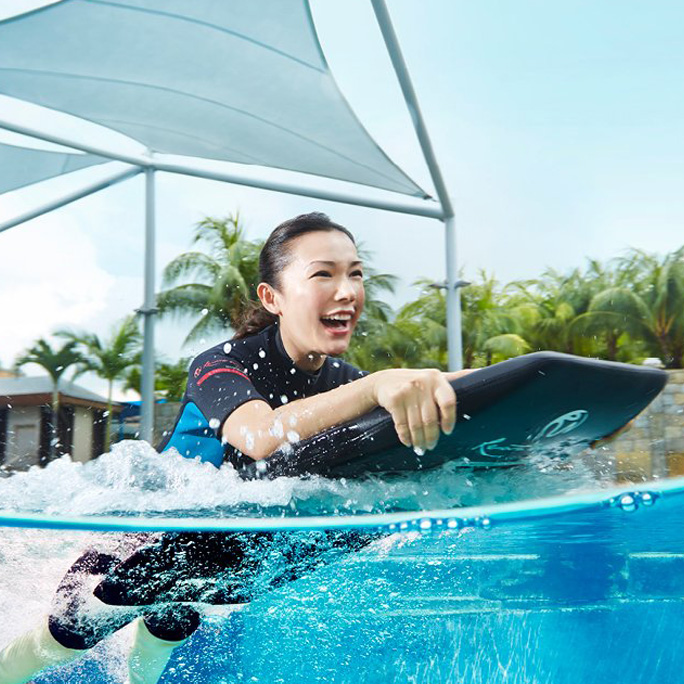 Dolphin Adventure