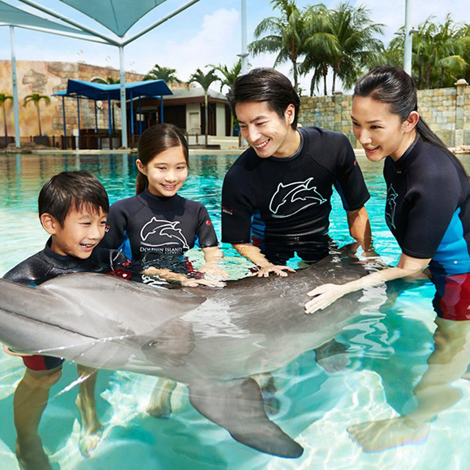 Dolphin Discovery