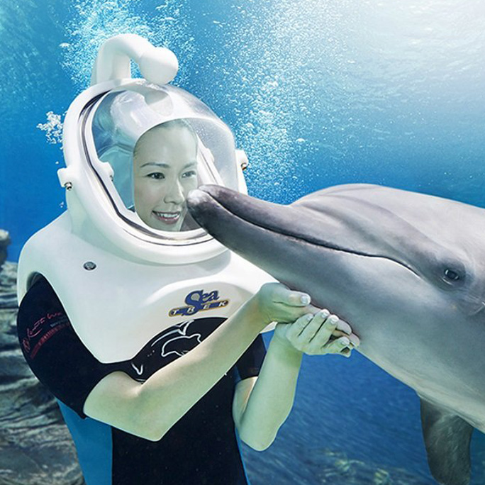 Dolphin Trek