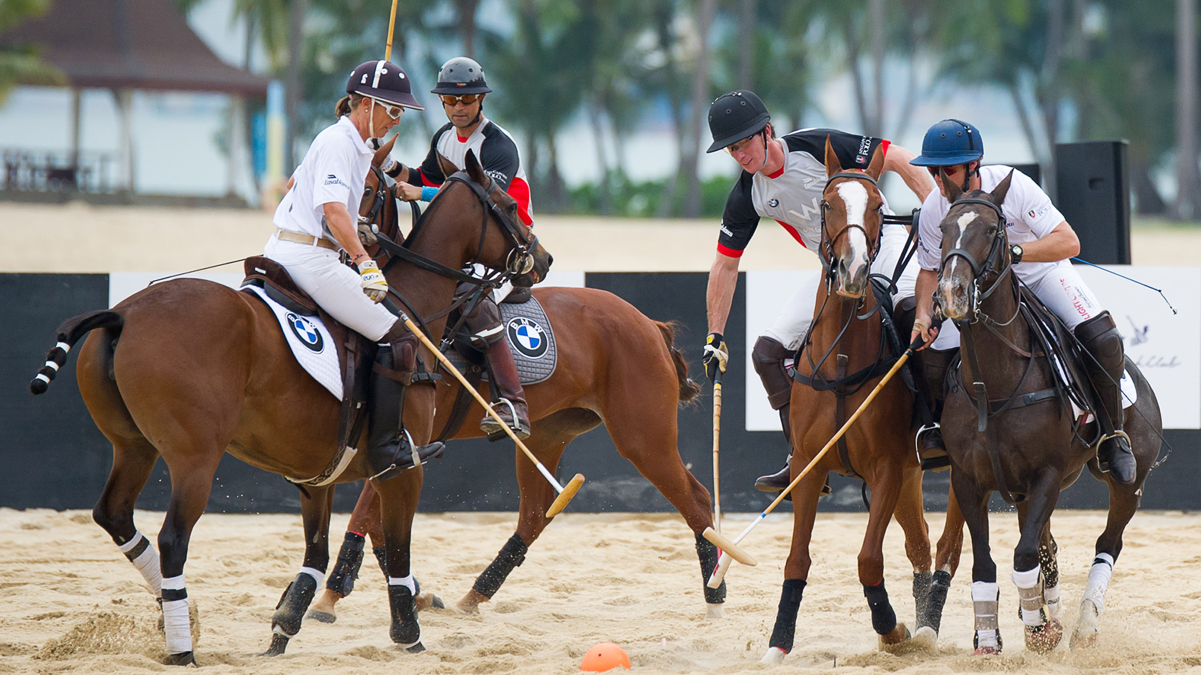 Tanjong Horse racing