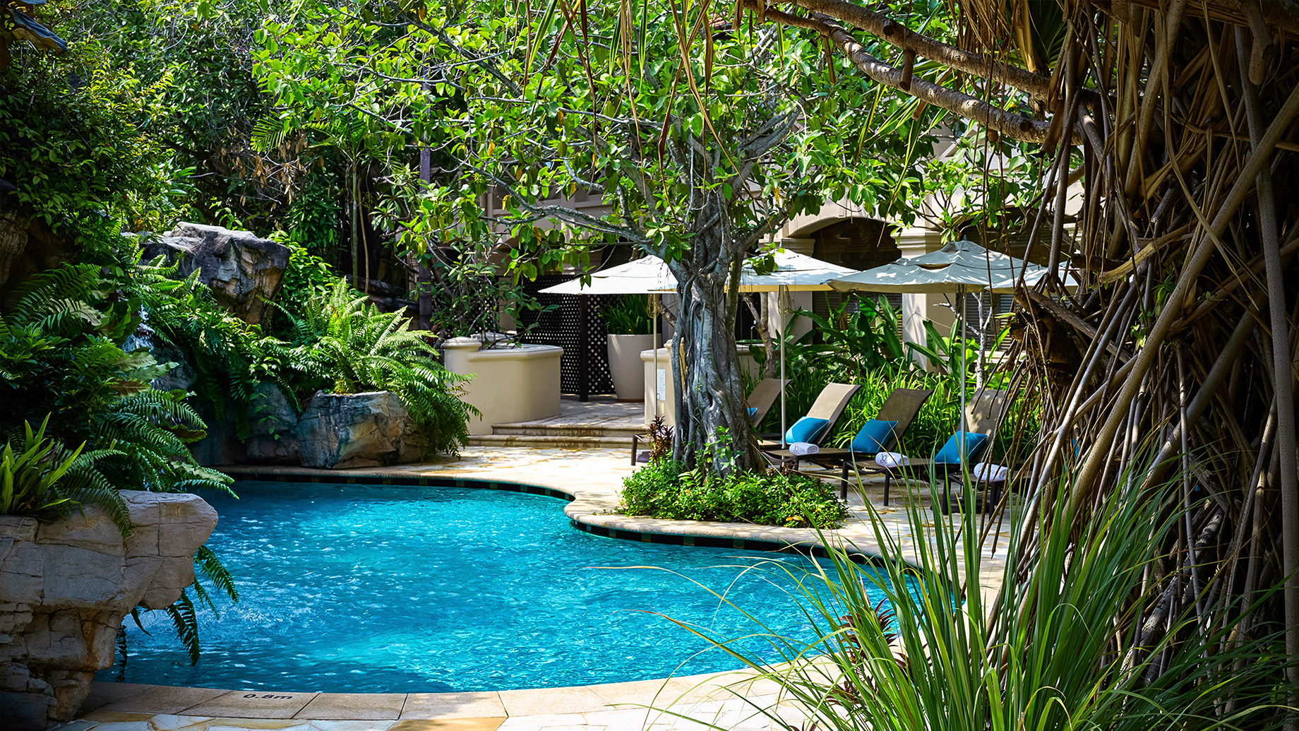 jungle pool relax