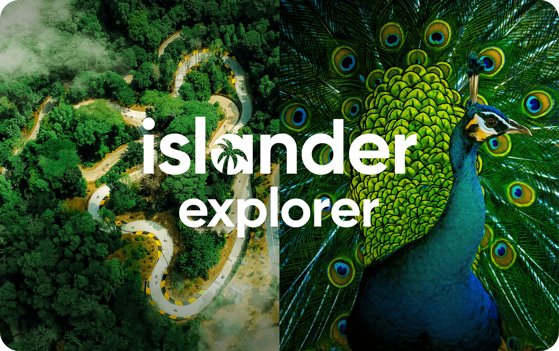 ISLANDER EXPLORER