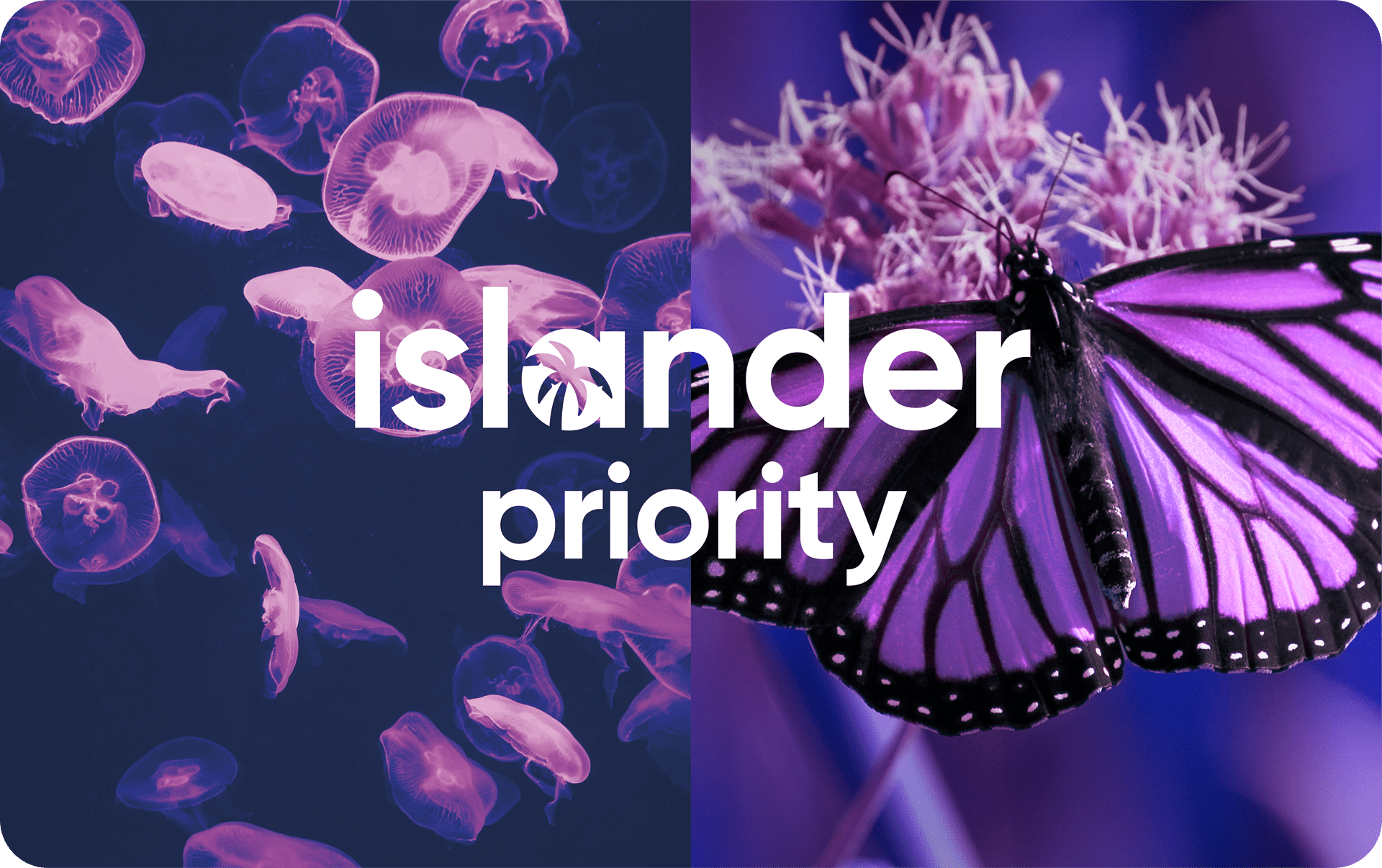 ISLANDER PRIORITY